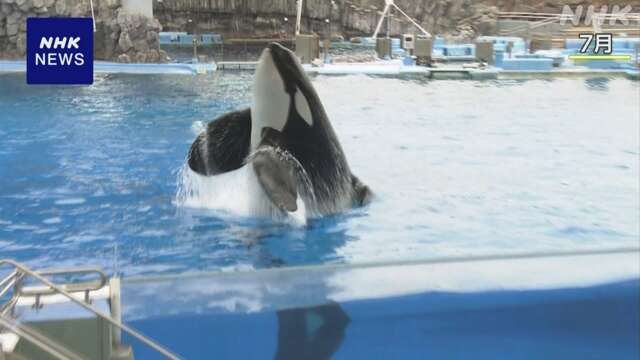名古屋港水族館のシャチプール