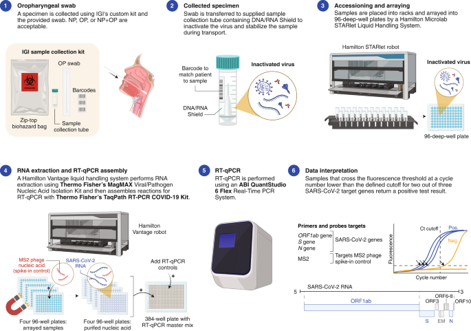 PCR test laboratory