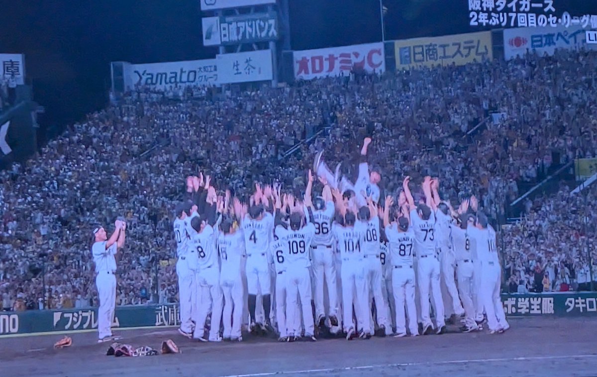 阪神タイガース優勝シーン