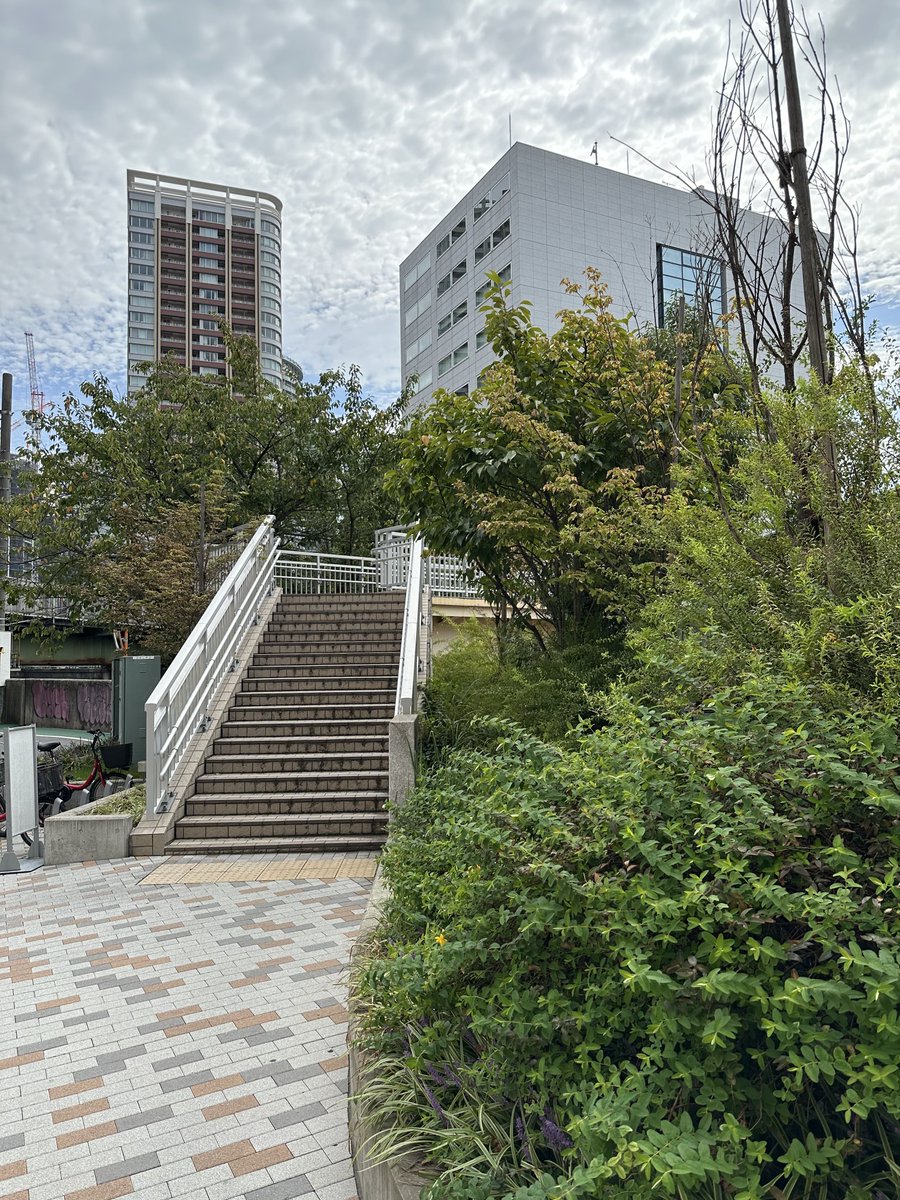 佐々木朗希が喜びを表現する瞬間。セーブ成功後にベンチへ向かう佐々木の表情。
