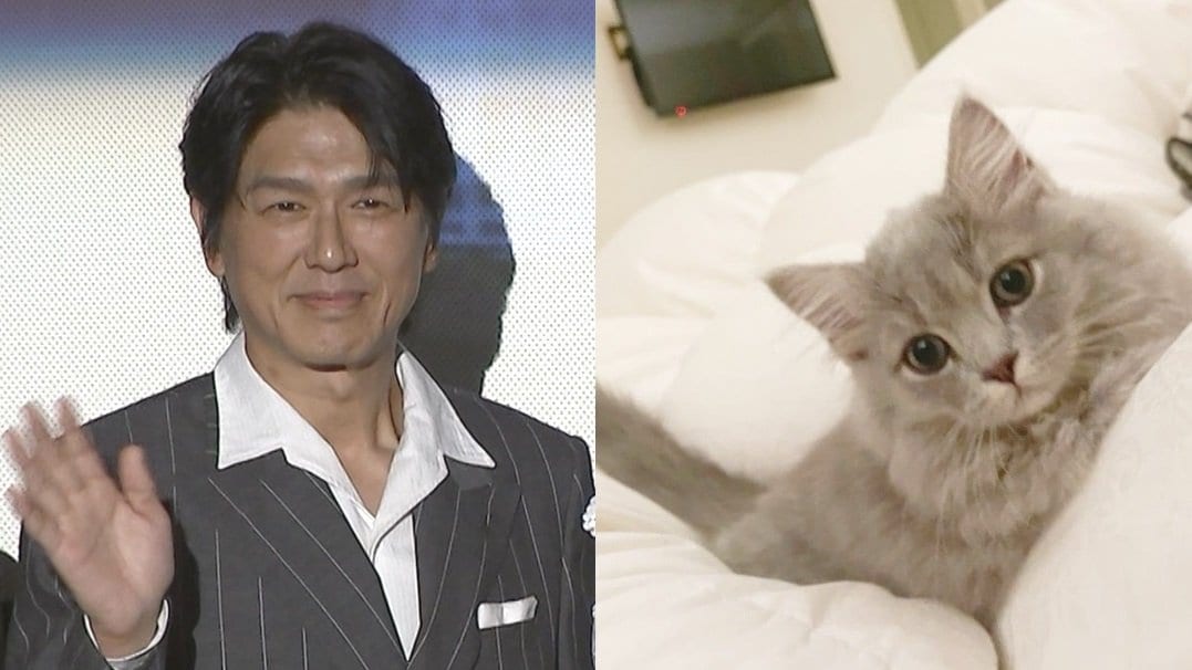 ねこ 】高橋克典さんの愛猫「ミルリィ」少しずつ馴染む 「だいぶ近づいてきてくれるようになりました」 | TBS NEWS DIG