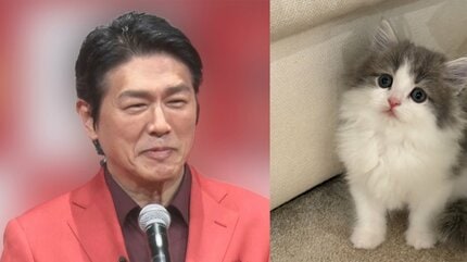 ねこ 】 高橋克典さんが新しい家族を紹介 サイベリアンの子猫「ラヴィくん」をお迎え 先住猫の猫パンチにも動じない 「大物の予感」 | TBS NEWS  DIG