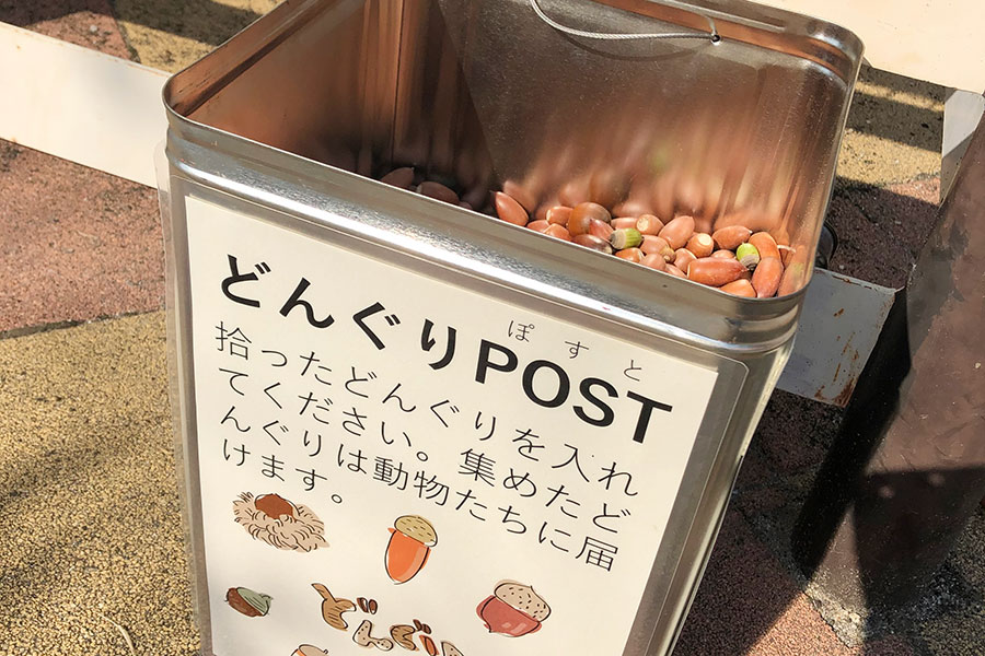 親子の悩みを解決、京都市動物園のどんぐりポストにほっこり | Lmaga.jp