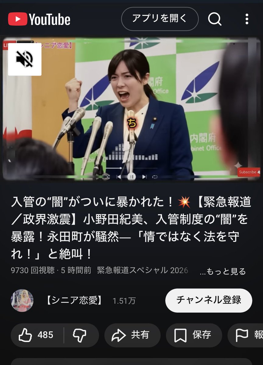 小野田紀美大臣（公式肖像写真風）