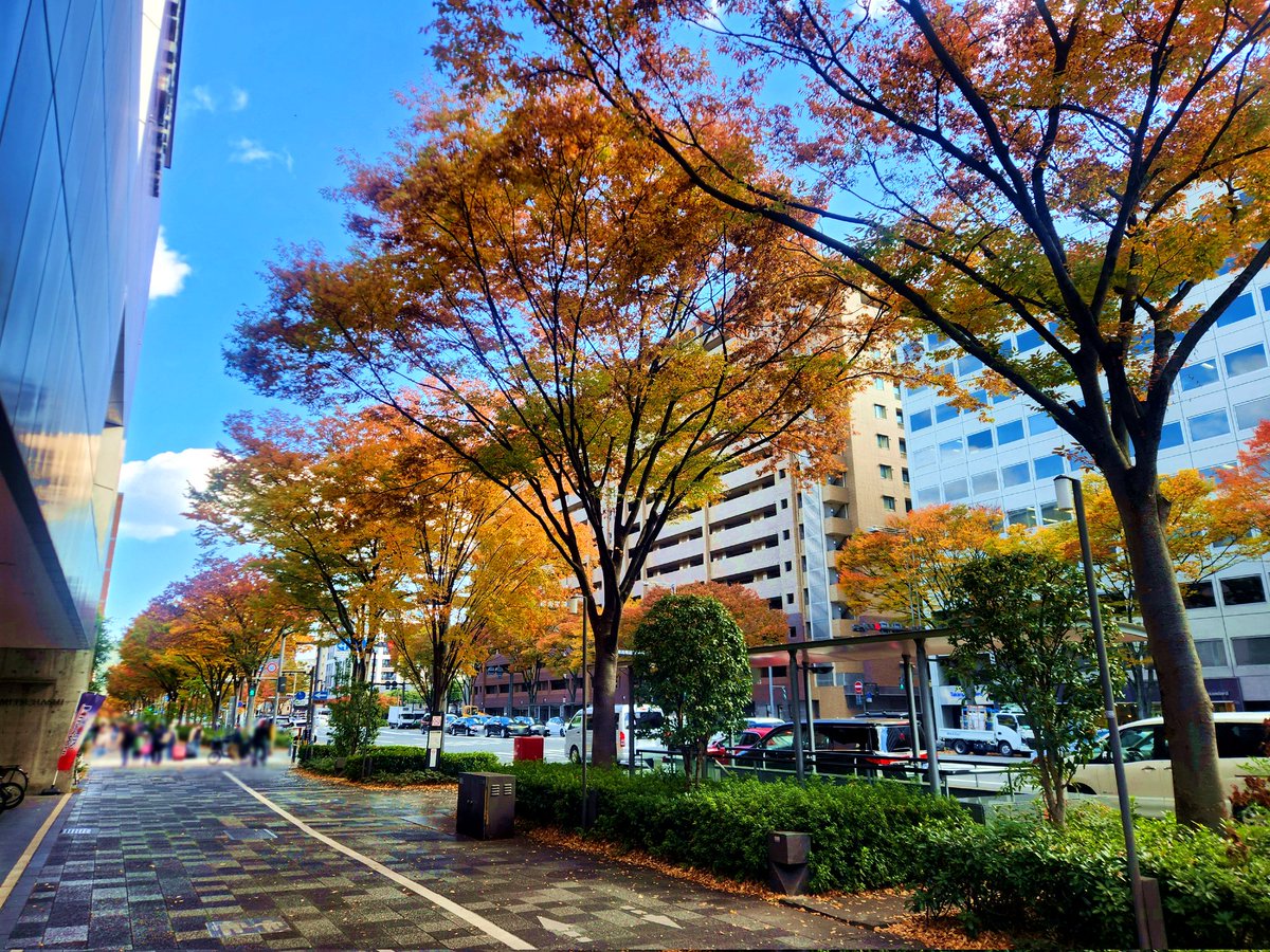 Kyoto Fushimi Inari during autumn with reduced crowds