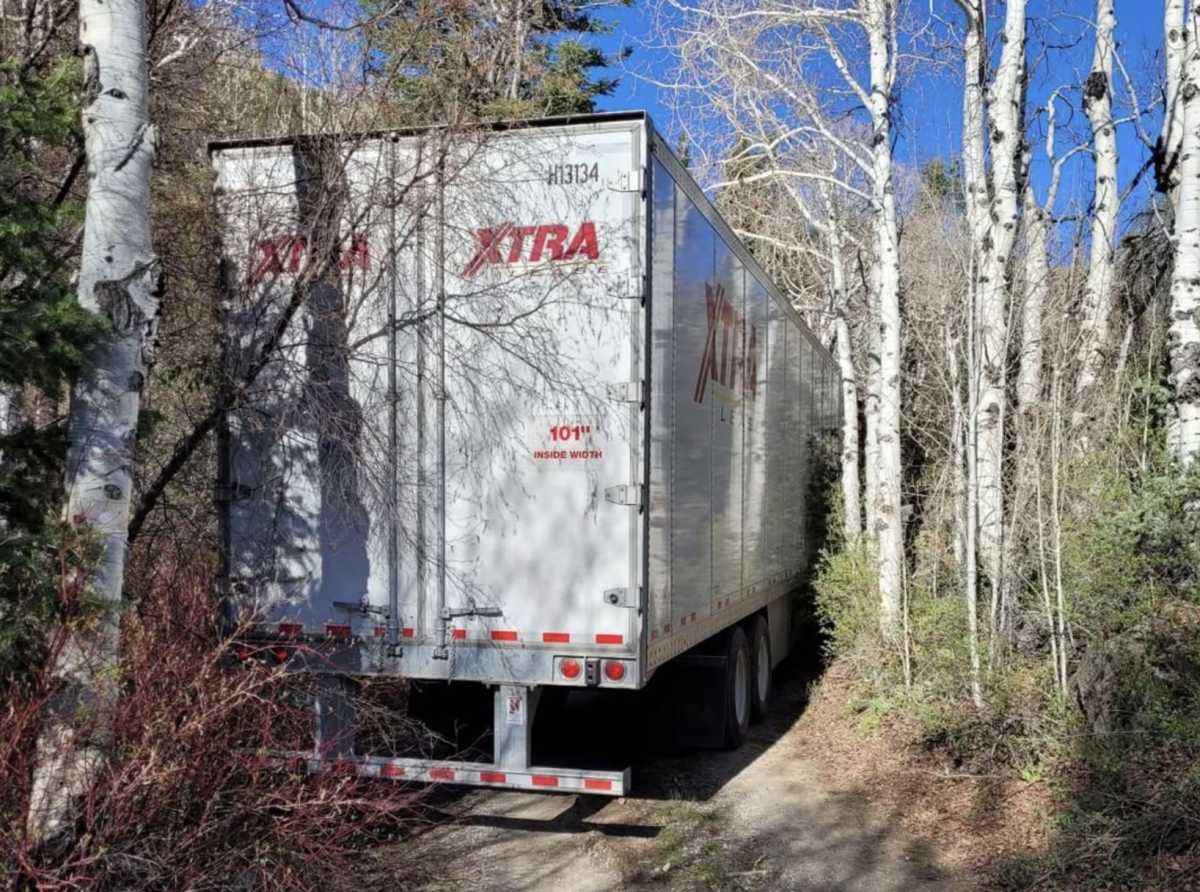Large truck stuck on a narrow dirt road surrounded by trees