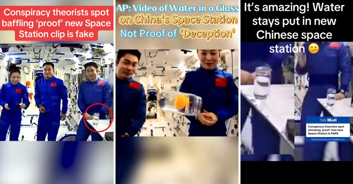 ファクトチェック記事のイラスト